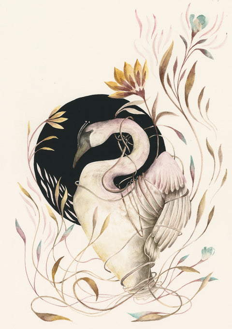 Swan Print